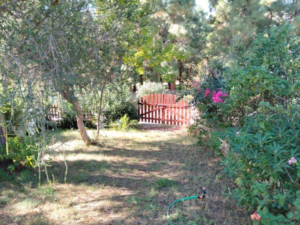 Villa Fiorilla 杰若米斯 外观 照片